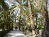 160929-8-tabas-bagh-e-golshan_persischer-garten