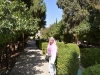 161007-19-shiraz-eram-garten