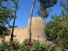 161007-9-shiraz-zitadelle
