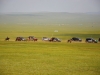 160712-25-ulan-bator-naadam-fest